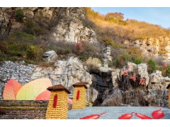 北京去房山周口店坡峰岭旅游包车带司机一天多少钱？