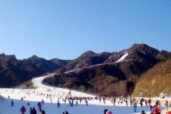 北京朝阳滑雪场包车接送费用 北京朝阳滑雪场包车接送费用
