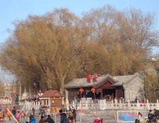 北京市内包车一日游到什刹海租车接送费用多少钱? 北京市内包车一日游到什刹海租车接送费用多少钱?