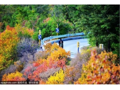 国庆京郊赏秋好去处,秋花烂漫美不胜收~ 国庆京郊赏秋好去处,秋花烂漫美不胜收~