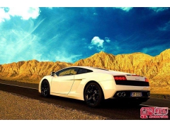 租车时 先查看车辆行驶证的登记日期 租车时 先查看车辆行驶证的登记日期