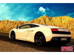 租车 掌握所租车辆的具体情况 租车 掌握所租车辆的具体情况