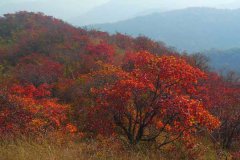 香山包车,35座大巴到香山包车攻略，附大巴包车价格