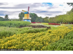 千万别错过!假期的北京太好玩了吧?园林,花海…大多免费! 千万别错过!假期的北京太好玩了吧?园林,花海…大多免费!