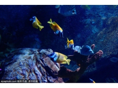 50张年票免费送!80多家景区敞开玩儿,国庆就可以安排! 50张年票免费送!80多家景区敞开玩儿,国庆就可以安排!